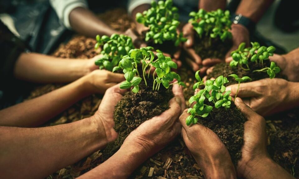 yield farming